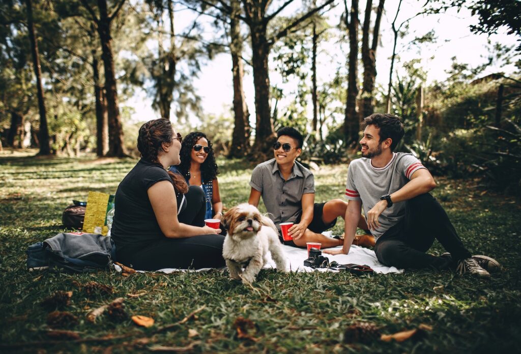 Qualidade de vida em Curitiba: a harmonia urbana para uma vida plena