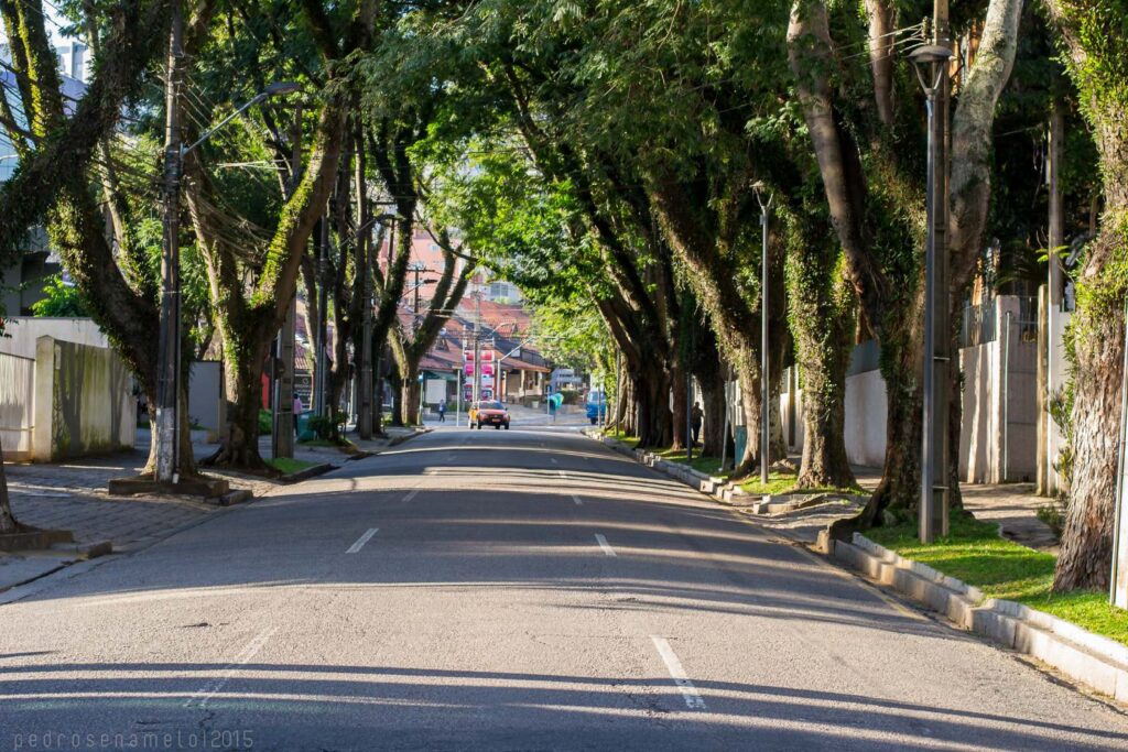 Bairro Batel: o encontro perfeito entre a elegância e a modernidade