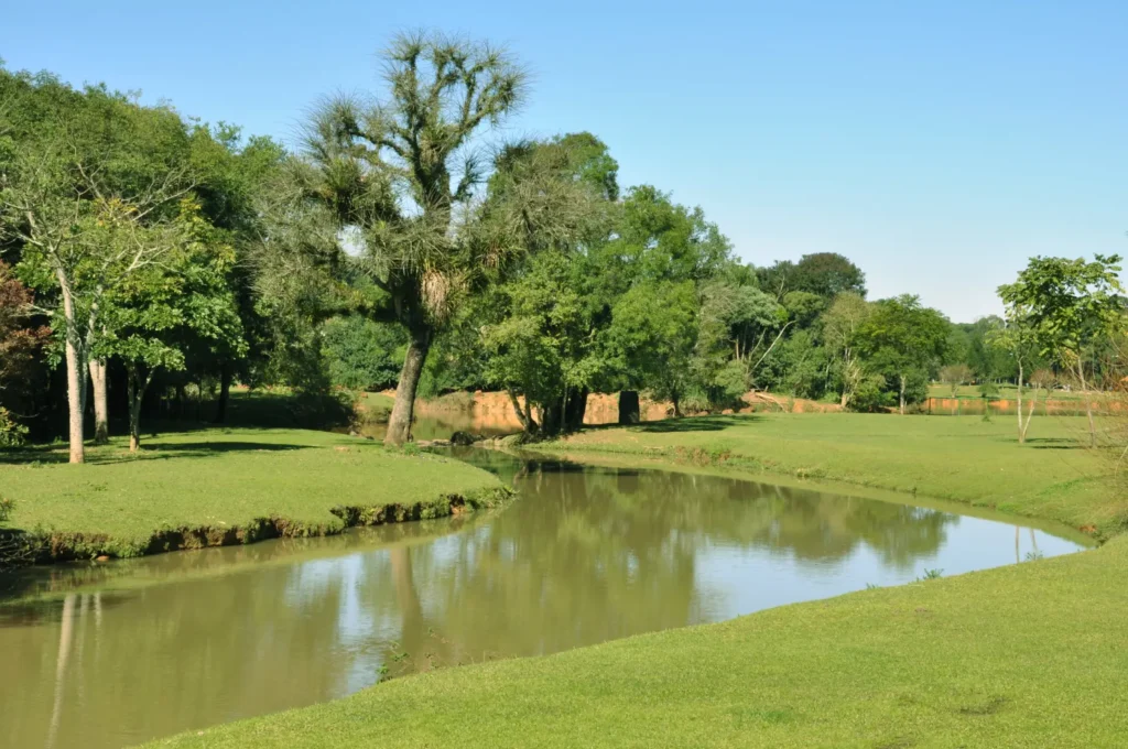 Belezas Naturais em Curitiba: Parque Tingui