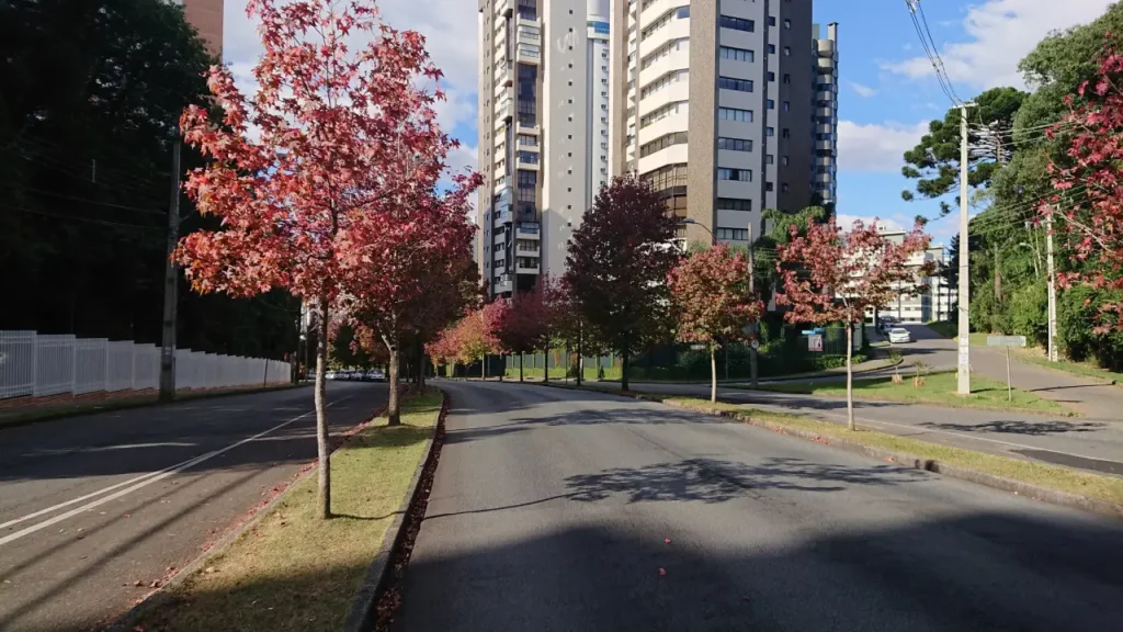 Curitiba PR: Natureza e Urbanidade - Bairro Ecoville