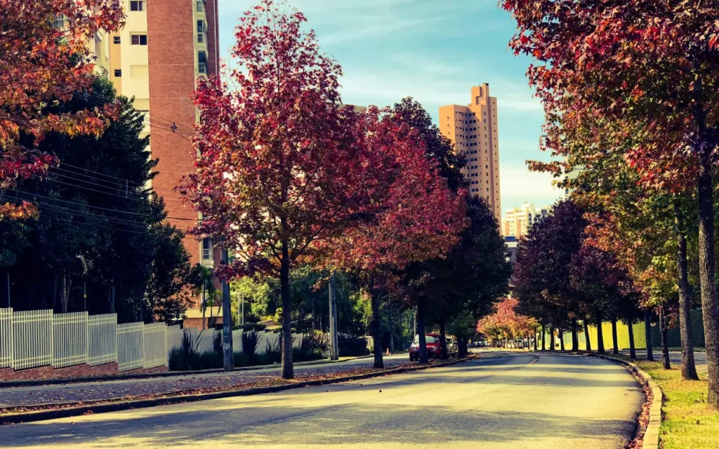 O Clima Curitiba e os Brechós de Roupas de Frio