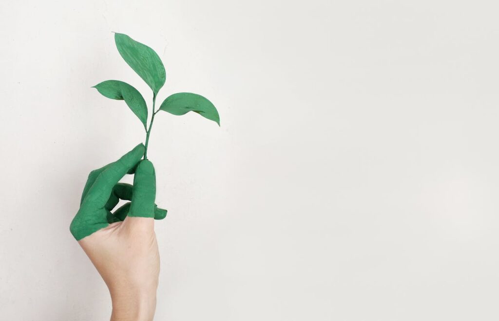 Sustentabilidade e espiritualidade: práticas que se complementam - Foto de Alena Koval: https://www.pexels.com/pt-br/foto/mao-esquerda-de-pessoa-segurando-folha-verde-886521/