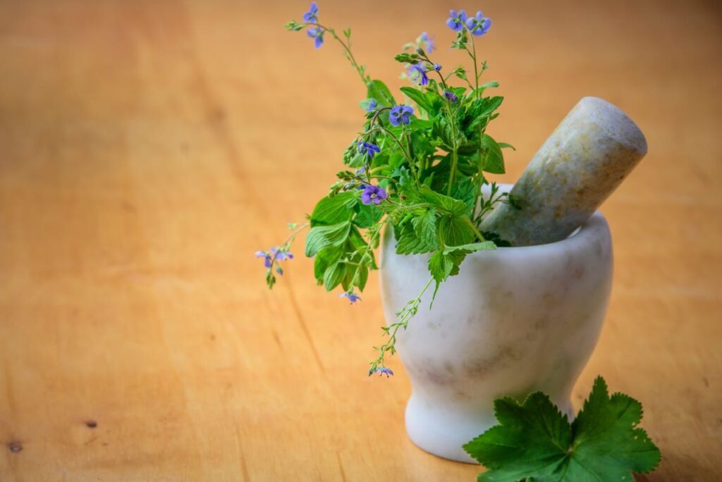Fitoterapia | Foto de AS Photography: https://www.pexels.com/pt-br/foto/flores-de-petalas-roxas-em-almofariz-e-pilao-105028/