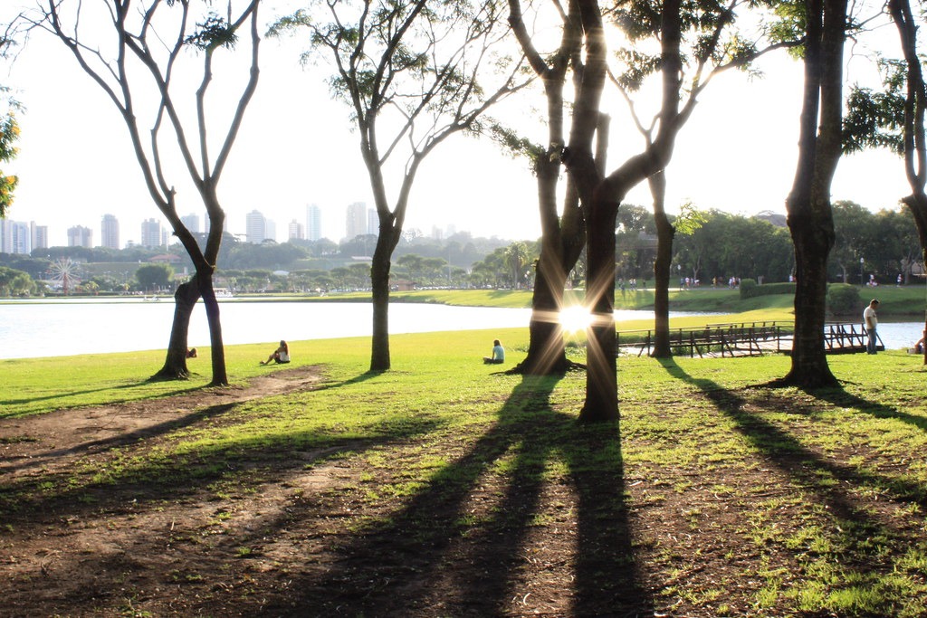 4. Parque Barigui – Energia do movimento e respiração ao entardecer