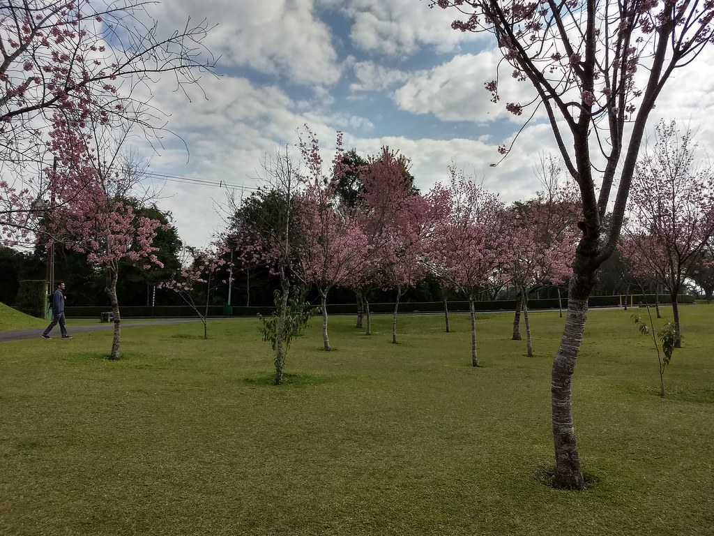 6. Parque Tanguá: Meditação com Vista para Cachoeiras