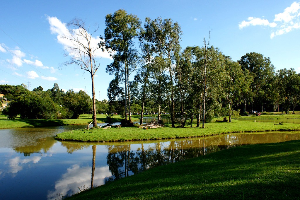 2. Parque Tingui – A energia ancestral dos povos nativos